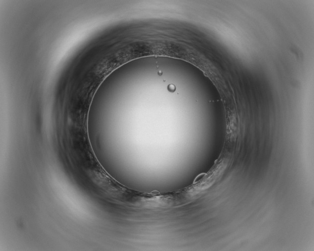 X0000113140430200909041212