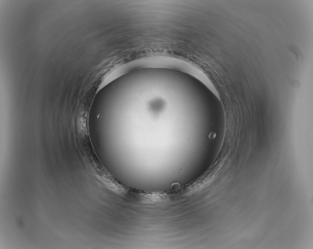 X0000113140432200909041212