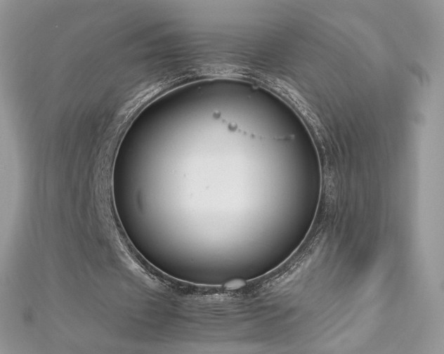 X0000113140433200909041212