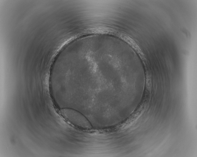 X0000113140434200909041212