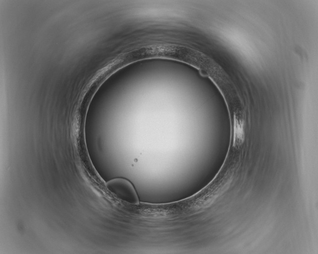 X0000113140435200909041212