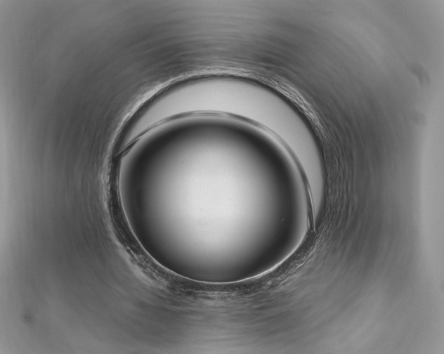 X0000113140436200909041212