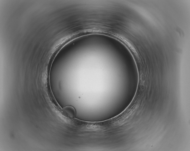 X0000113140437200909041212