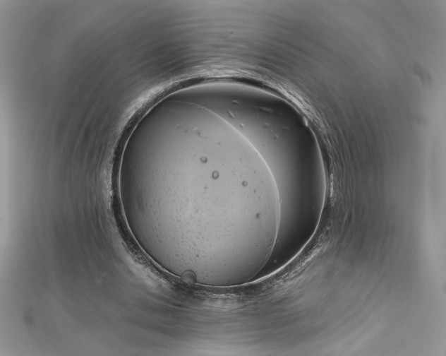 X0000113140438200909041212