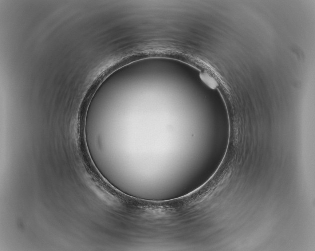 X0000113140439200909041212