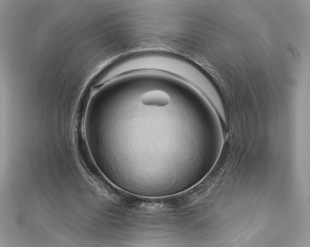 X0000113140440200909041212