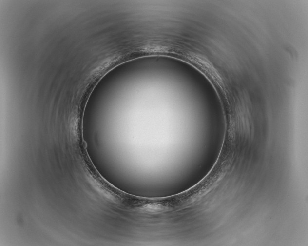 X0000113140441200909041212