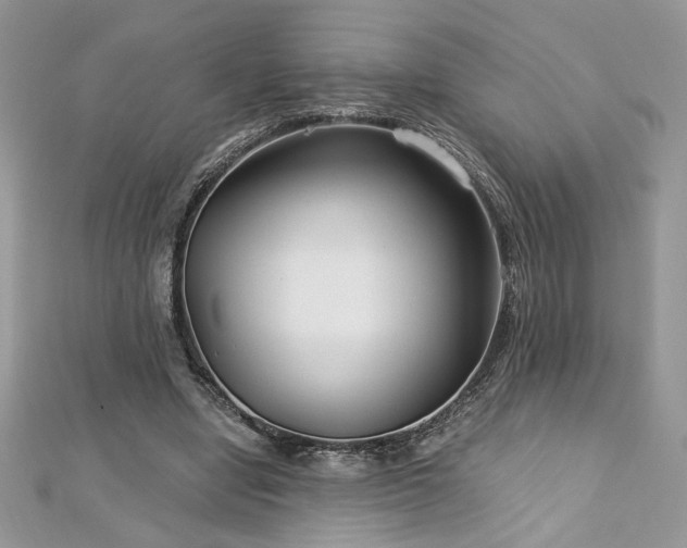 X0000113140442200909041212