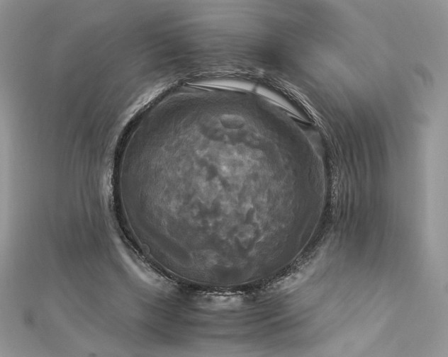 X0000113140443200909041212