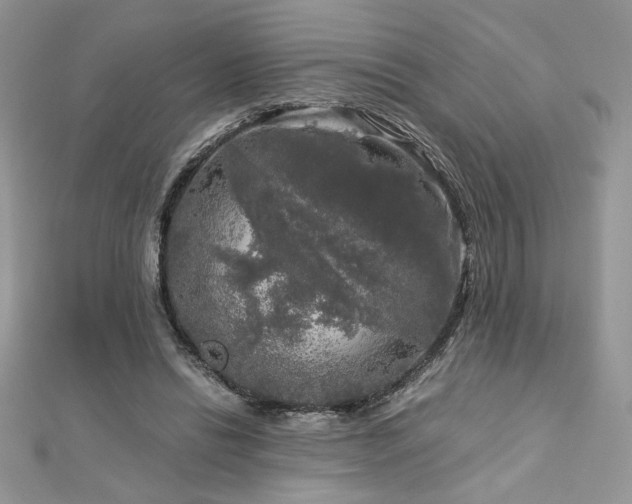 X0000113140446200909041212