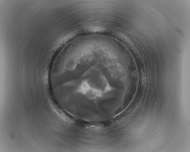 X0000113140447200909041212