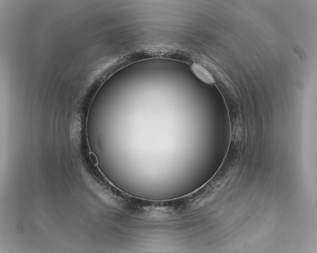 X0000113140448200909041212