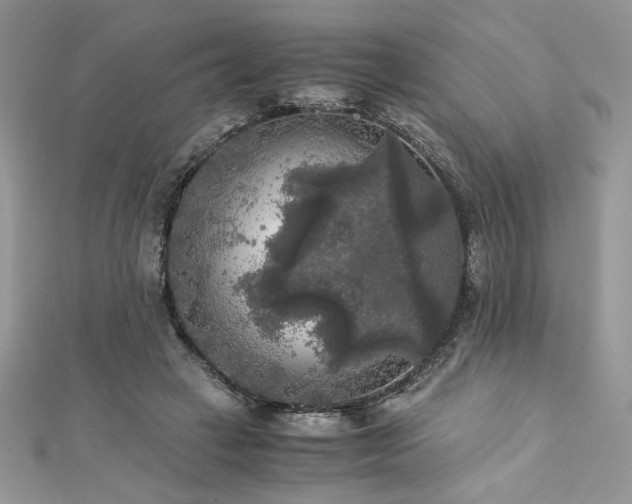 X0000113140449200909041212