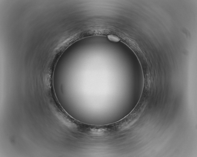 X0000113140450200909041212