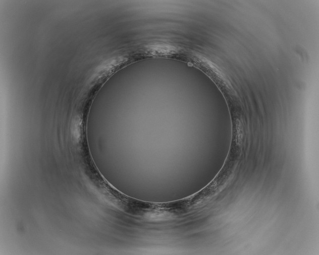 X0000113140451200909041212