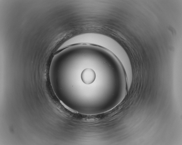 X0000113140452200909041212