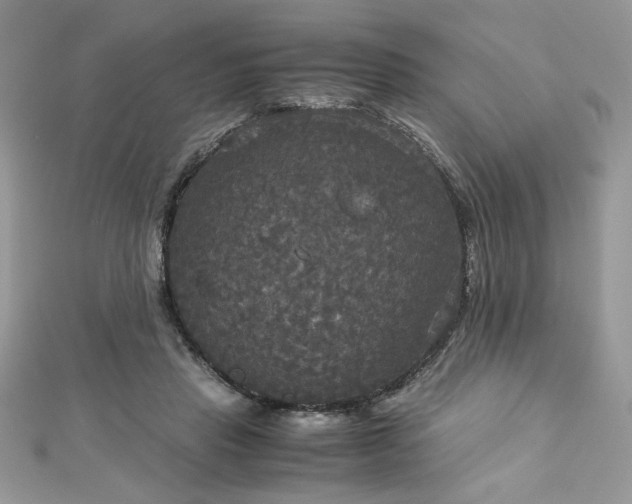 X0000113140453200909041212