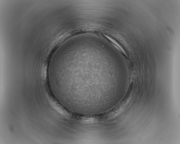 X0000113140454200909041212