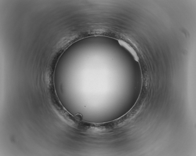 X0000113140455200909041212