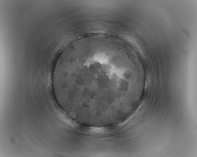 X0000113140457200909041212