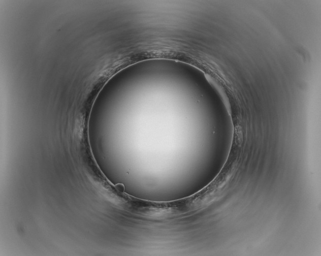 X0000113140458200909041212