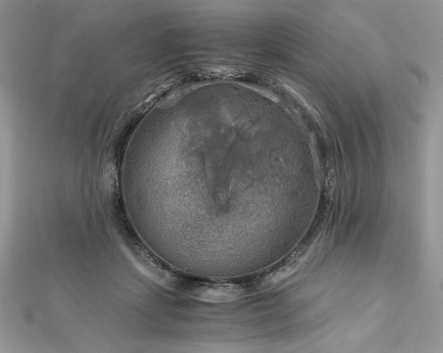 X0000113140459200909041212