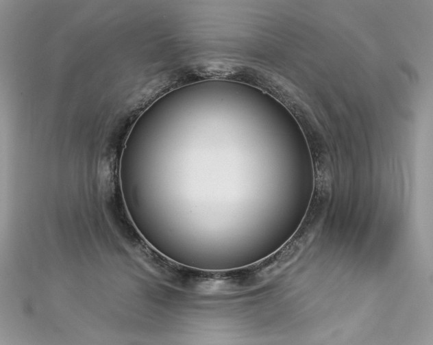 X0000113140460200909041212