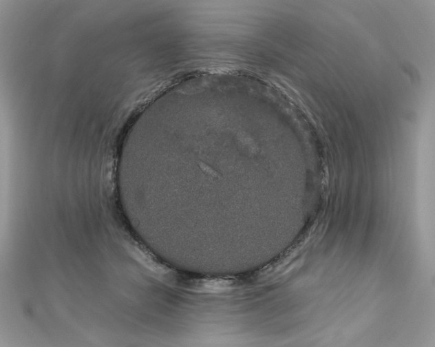 X0000113140462200909041212