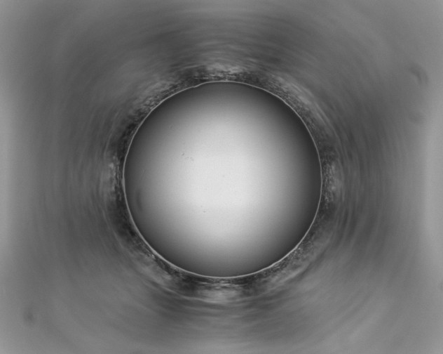 X0000113140463200909041212