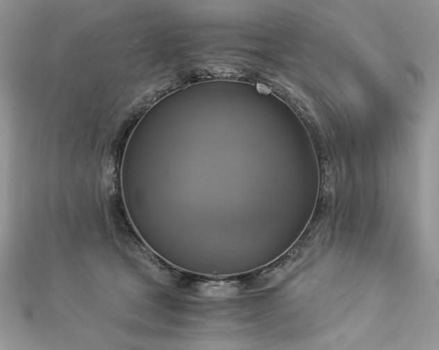 X0000113140465200909041212