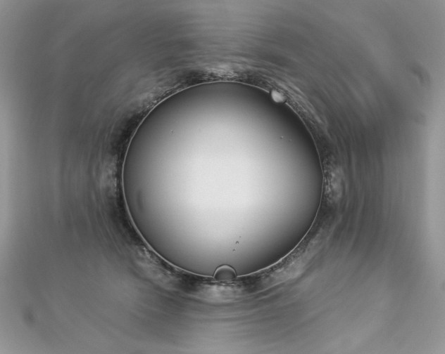 X0000113140466200909041212