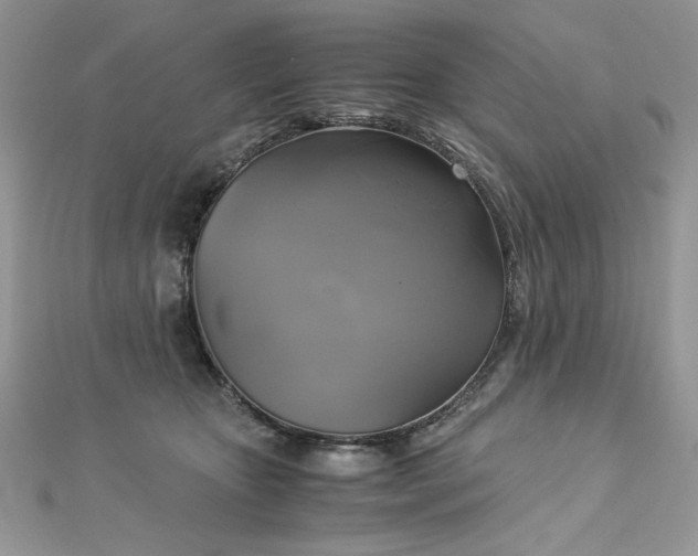 X0000113140467200909041212