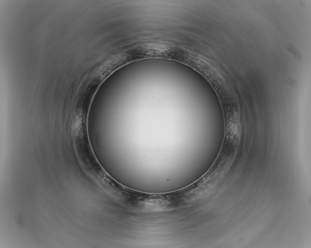 X0000113140468200909041212