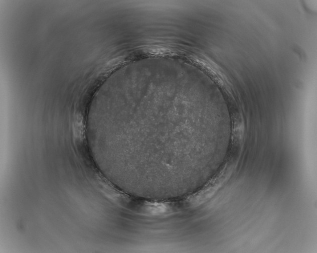 X0000113140469200909041212