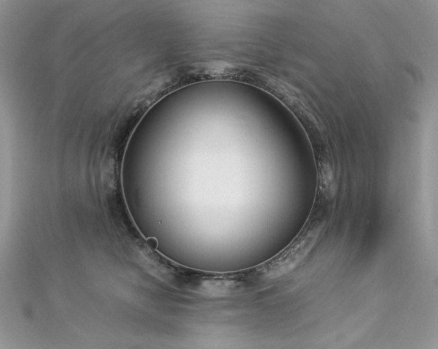 X0000113140470200909041212