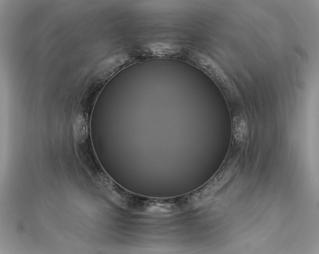 X0000113140471200909041212