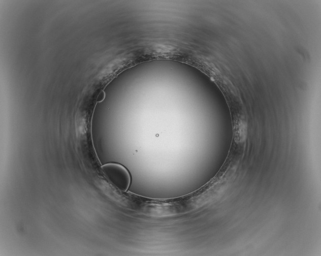 X0000113140472200909041212