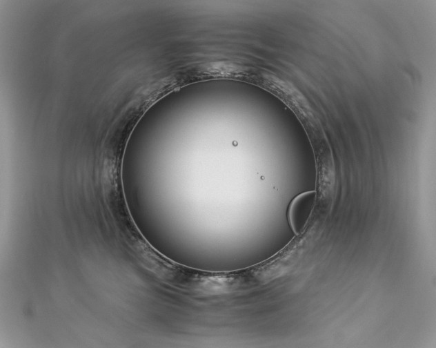 X0000113140473200909041212