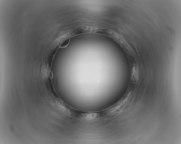 X0000113140474200909041212