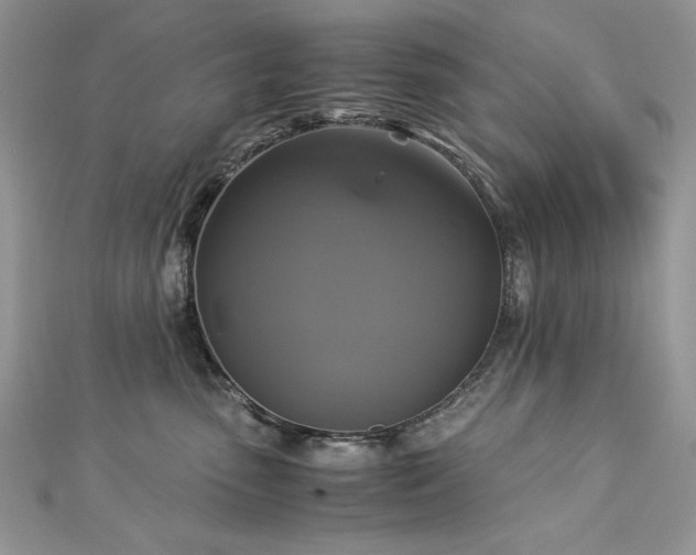 X0000113140475200909041212