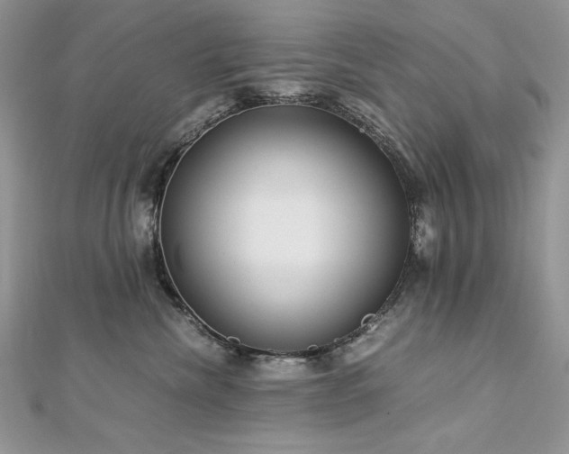 X0000113140476200909041212