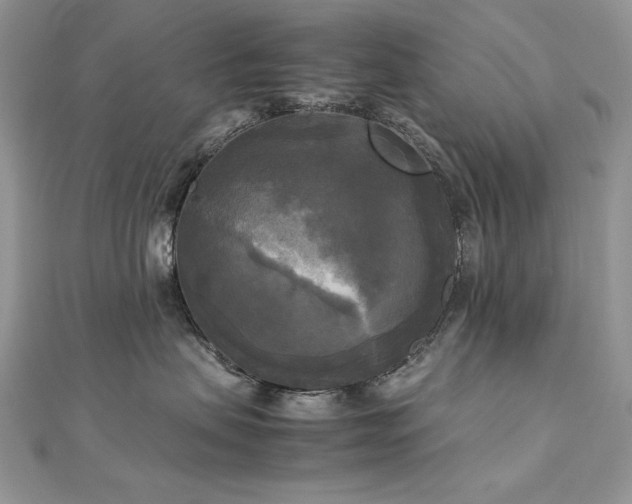 X0000113140479200909041212