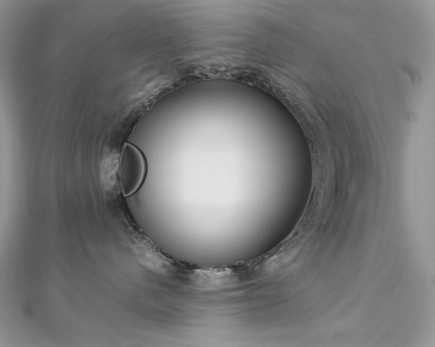 X0000113140480200909041212