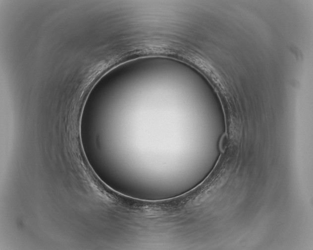 X0000113140481200909041212