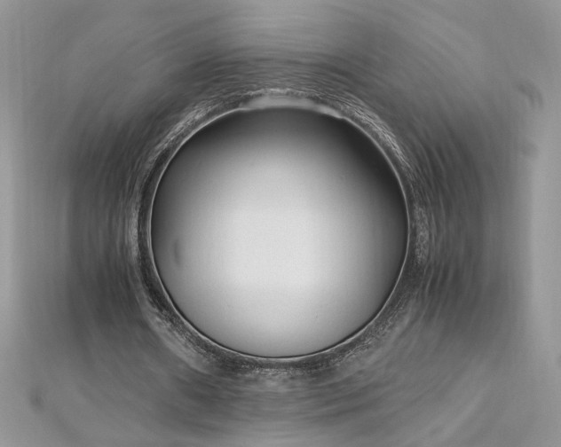 X0000113140482200909041212