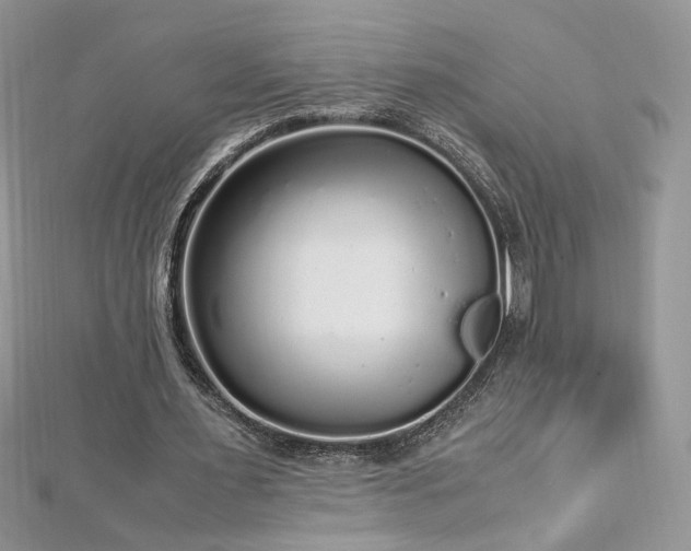 X0000113140483200909041212