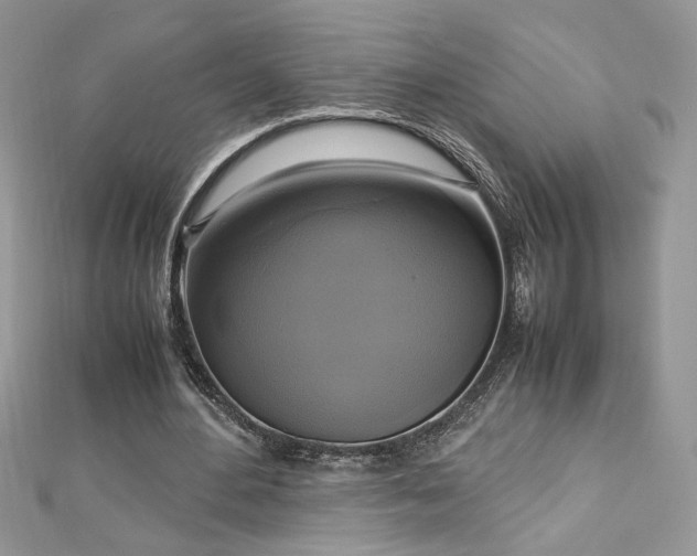 X0000113140484200909041212