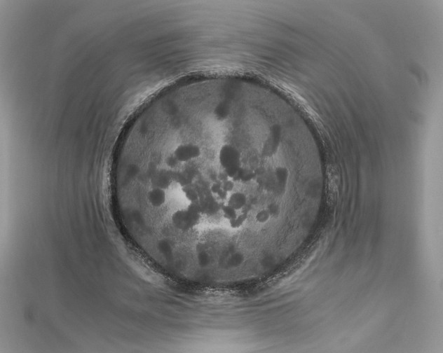 X0000113140487200909041212