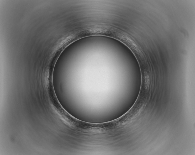 X0000113140490200909041212