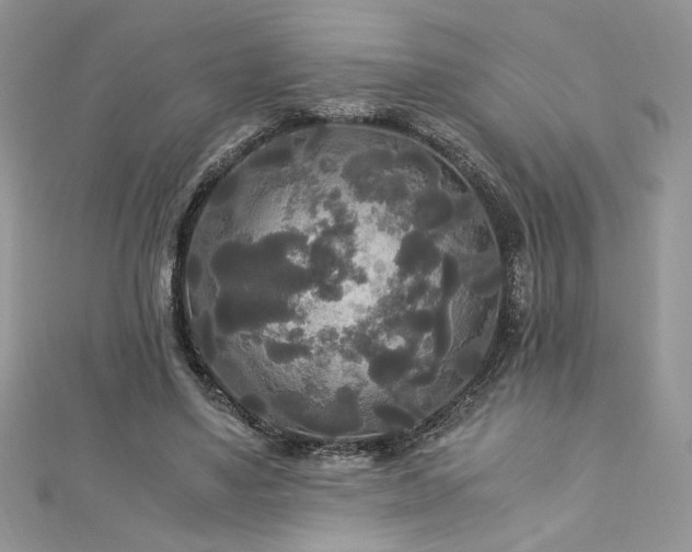 X0000113140491200909041211